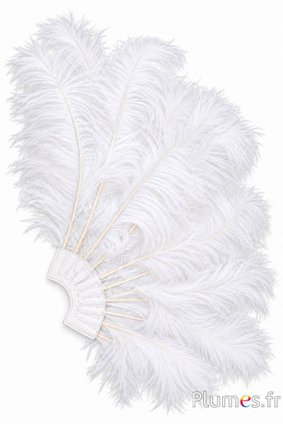 Waaier van struisvogelveren - ca. 60 cm, 10 veren, wit leer - wit